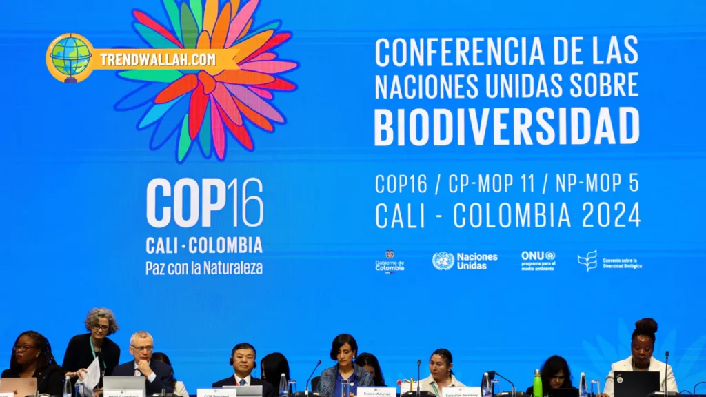 COP16: United Nations Biodiversity Conference Begins in Colombia
