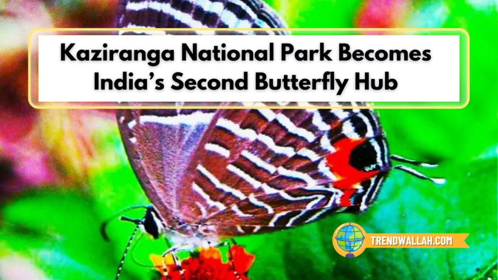 Kaziranga National Park Becomes India’s Second Butterfly Hub