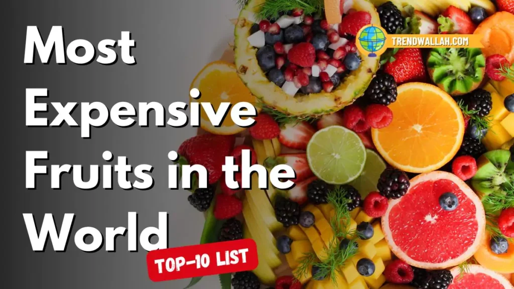 Most Expensive Fruit in the World